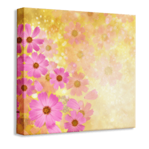 CANVAS FRAME | JARA PRO ADVERTISING